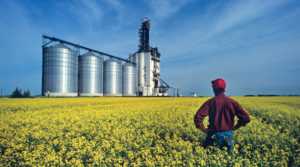 Read more about the article Agriculture Business With Effective Management Is Ideal