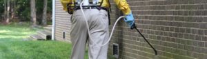 Read more about the article Pre-purchase Pest Inspection Services To Make Your Property Safe In Gold Coast