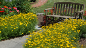 Read more about the article How To Choose A Top Landscaping Company?