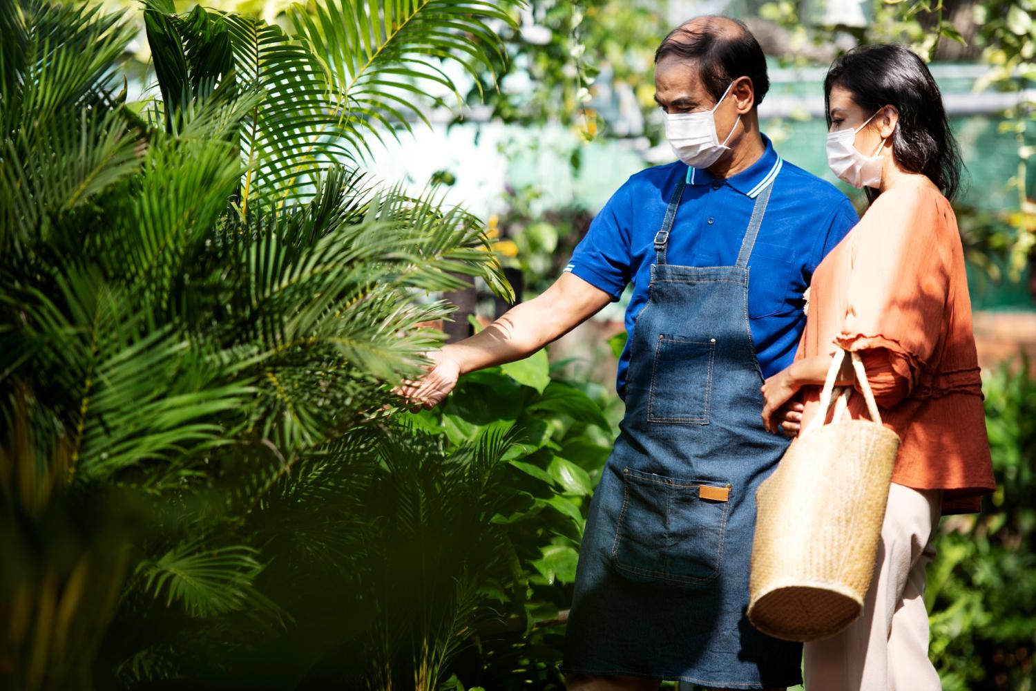 Read more about the article 7 Overlooked Reasons to Hire Experts for Palm Cleaning on the Gold Coast